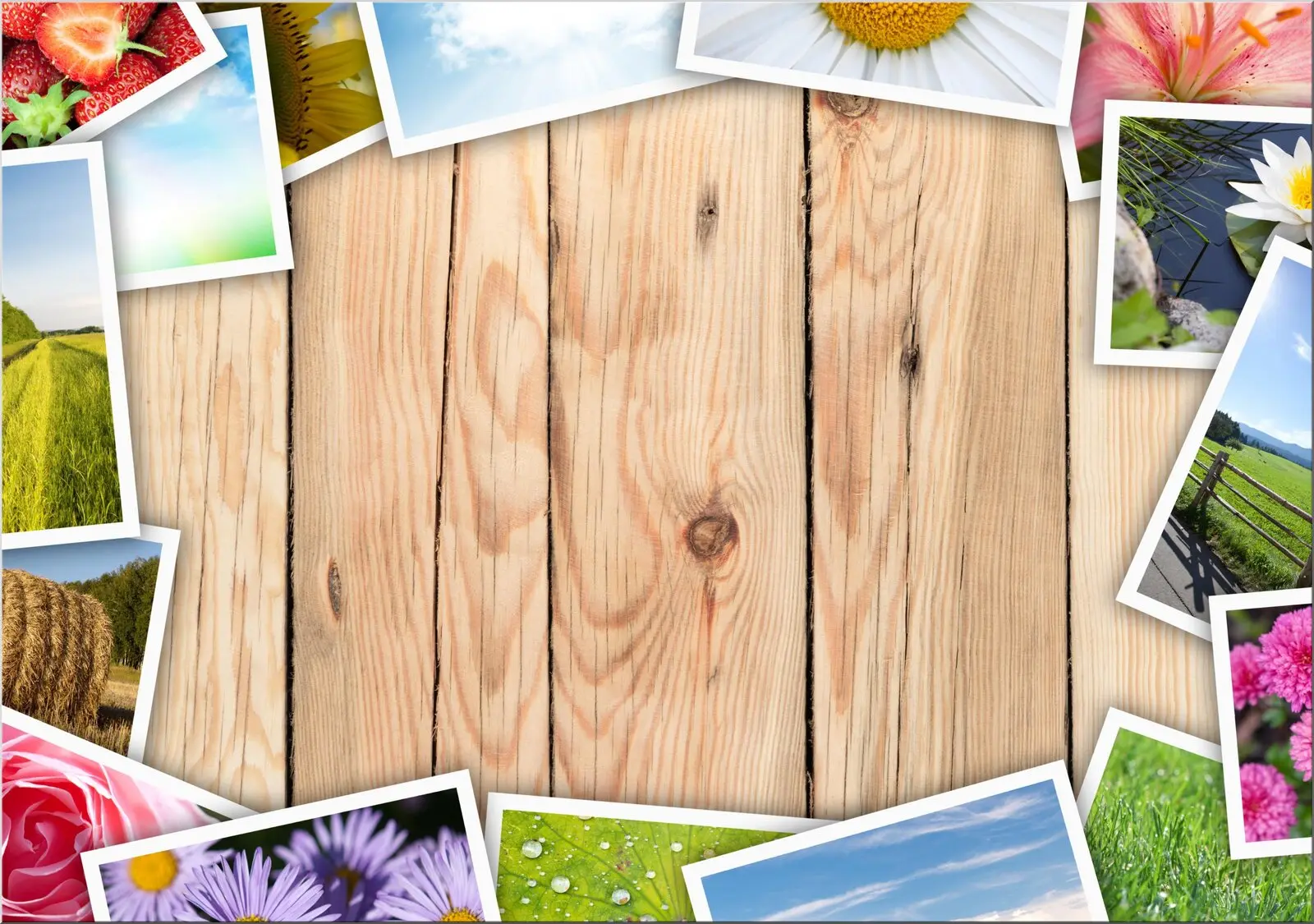 Postkarte mit Blumen und Landschaften Rahmen Collaage