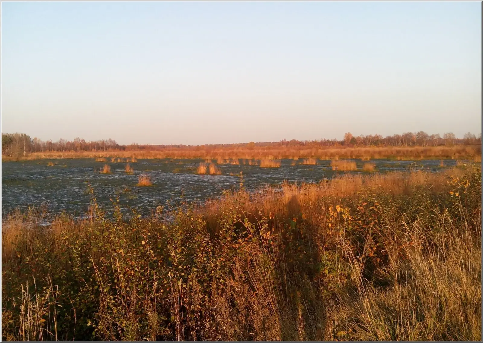 Postkarte Landschaft Wasser und Gräser im HErbst