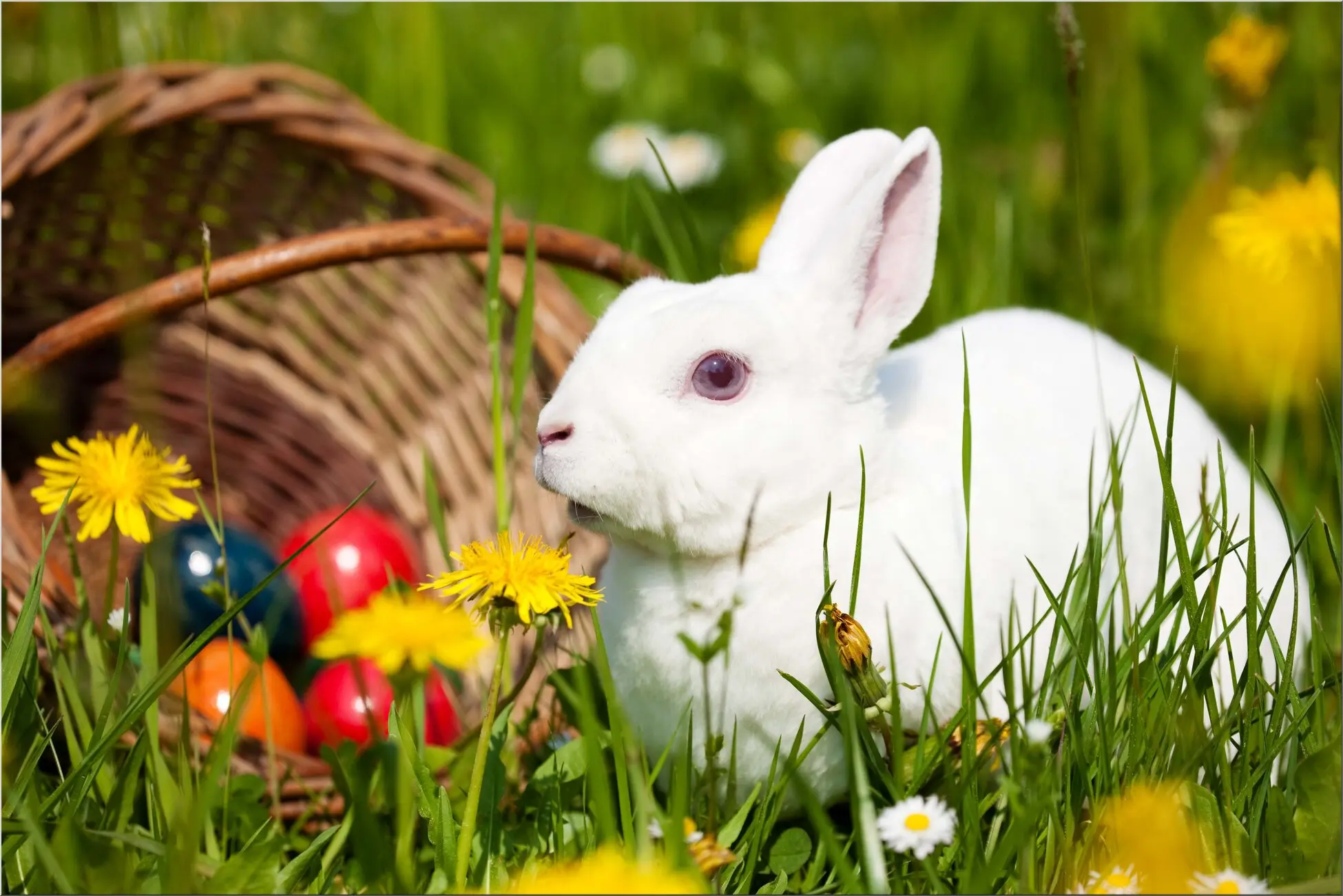 Weißer Hase mit Osterkorb
