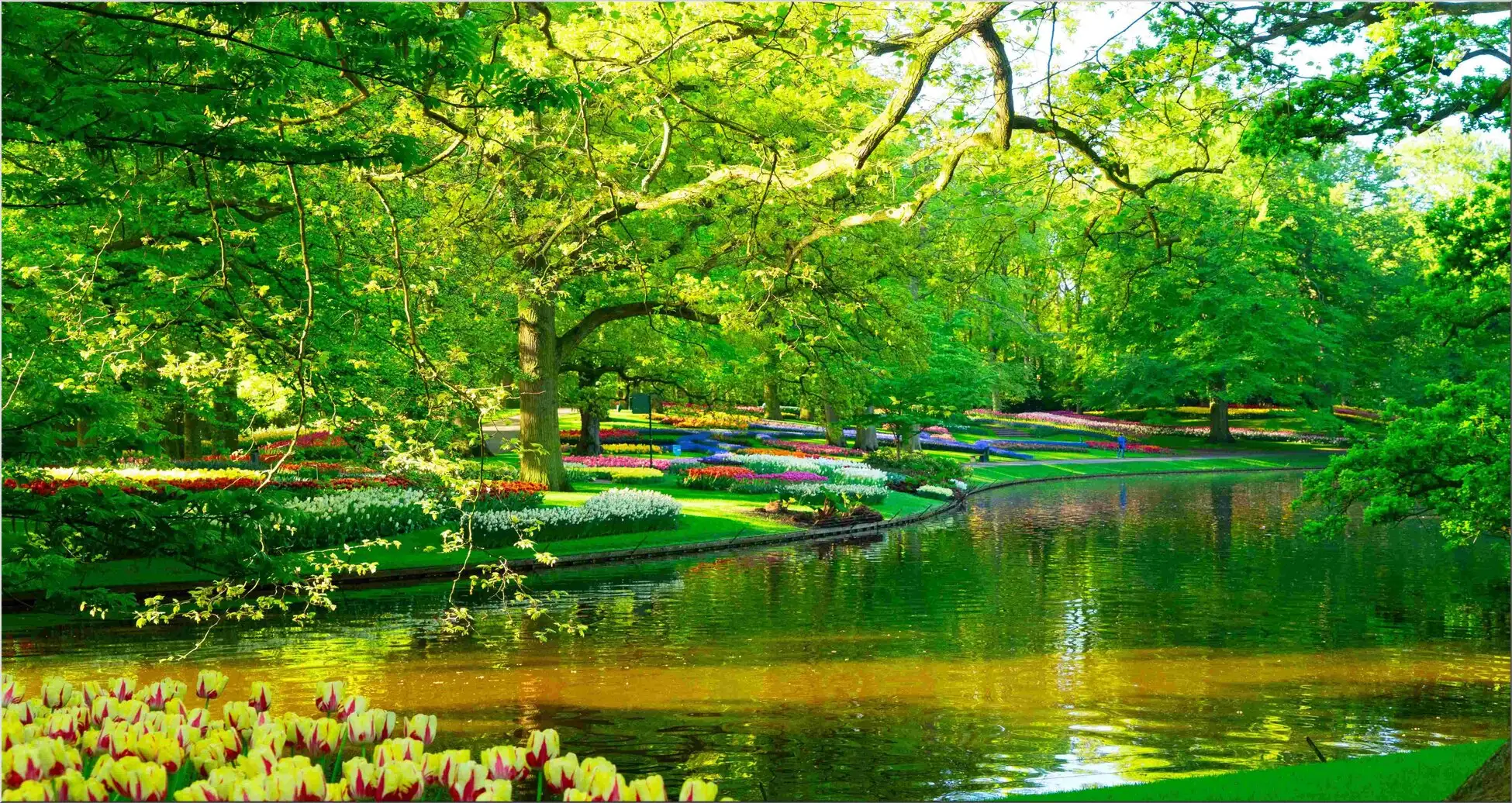 Postkarte Im Maxi Format Teich Im Park