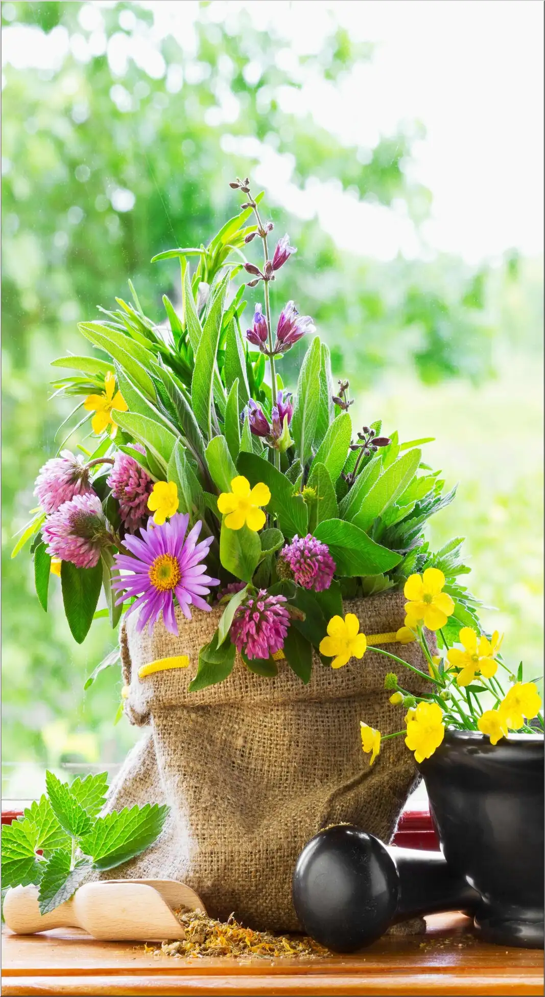 Blumenkorb Mit Frühlingsblumen Auf Fensterbank