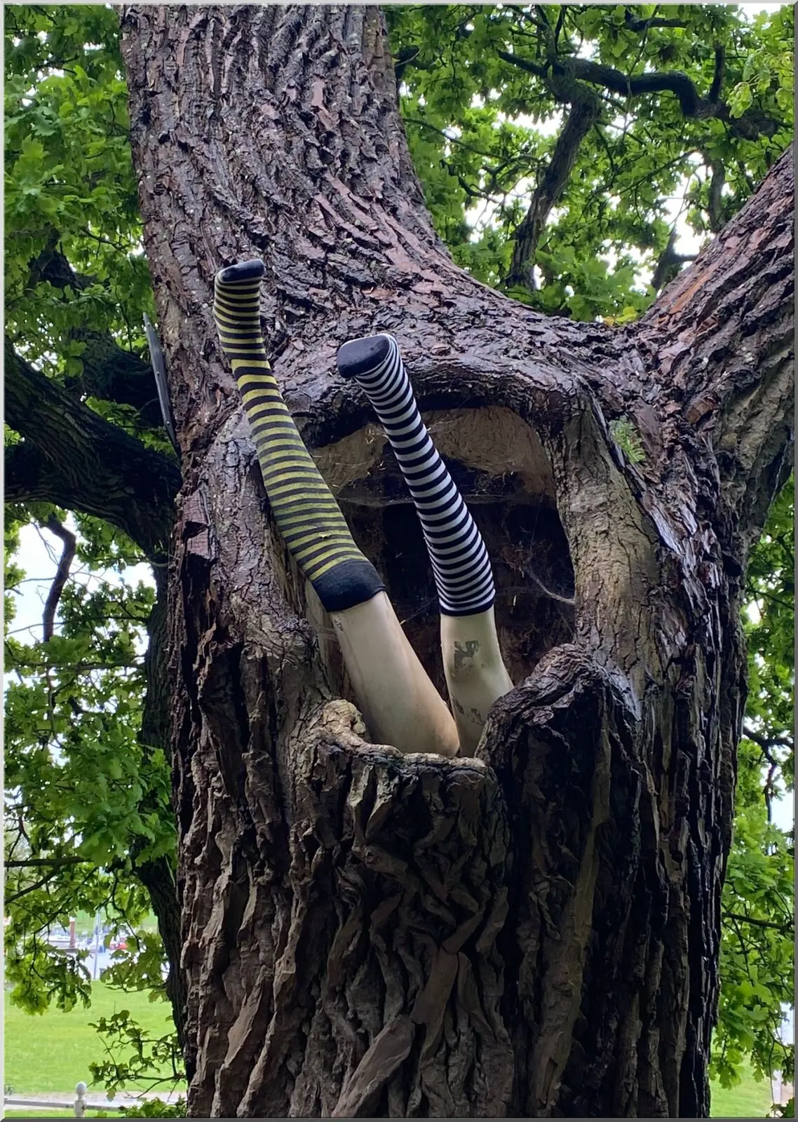 Postkarte mit zwei Beinen im Baum lustig witzig spaß A6 Postkarte mit zwei Beinen im Baum lustig witzig spaß
