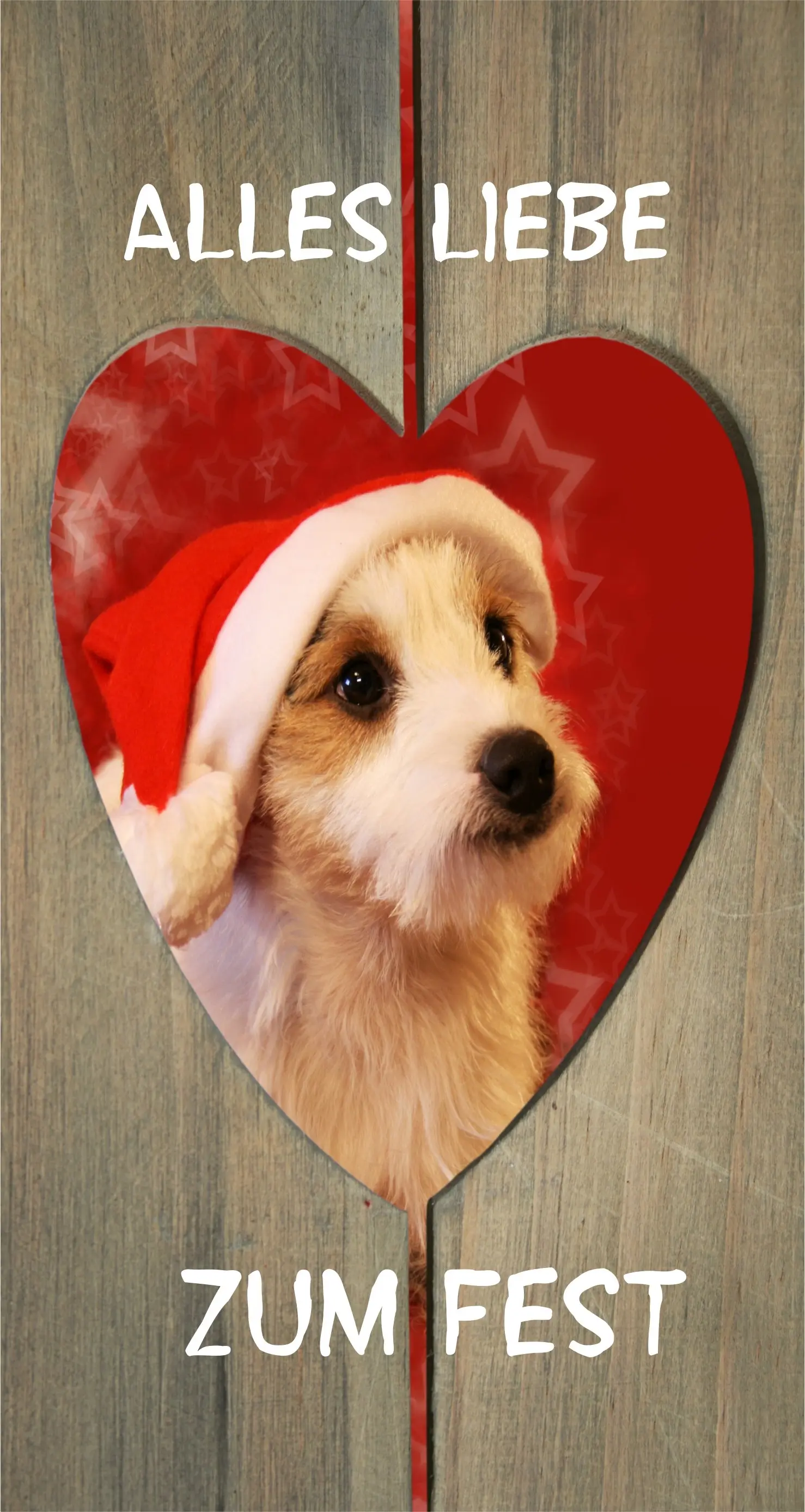 Hund schickt herzliche Weihnachtsgrüße