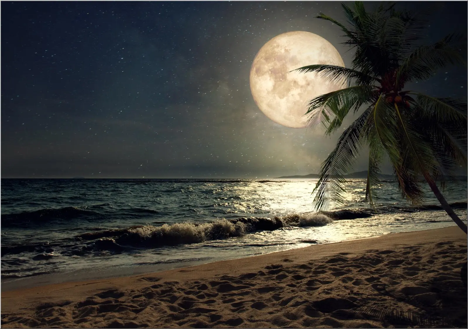 Postkarte mit Strandmotiv bei Nacht Vollmond Palme Meer