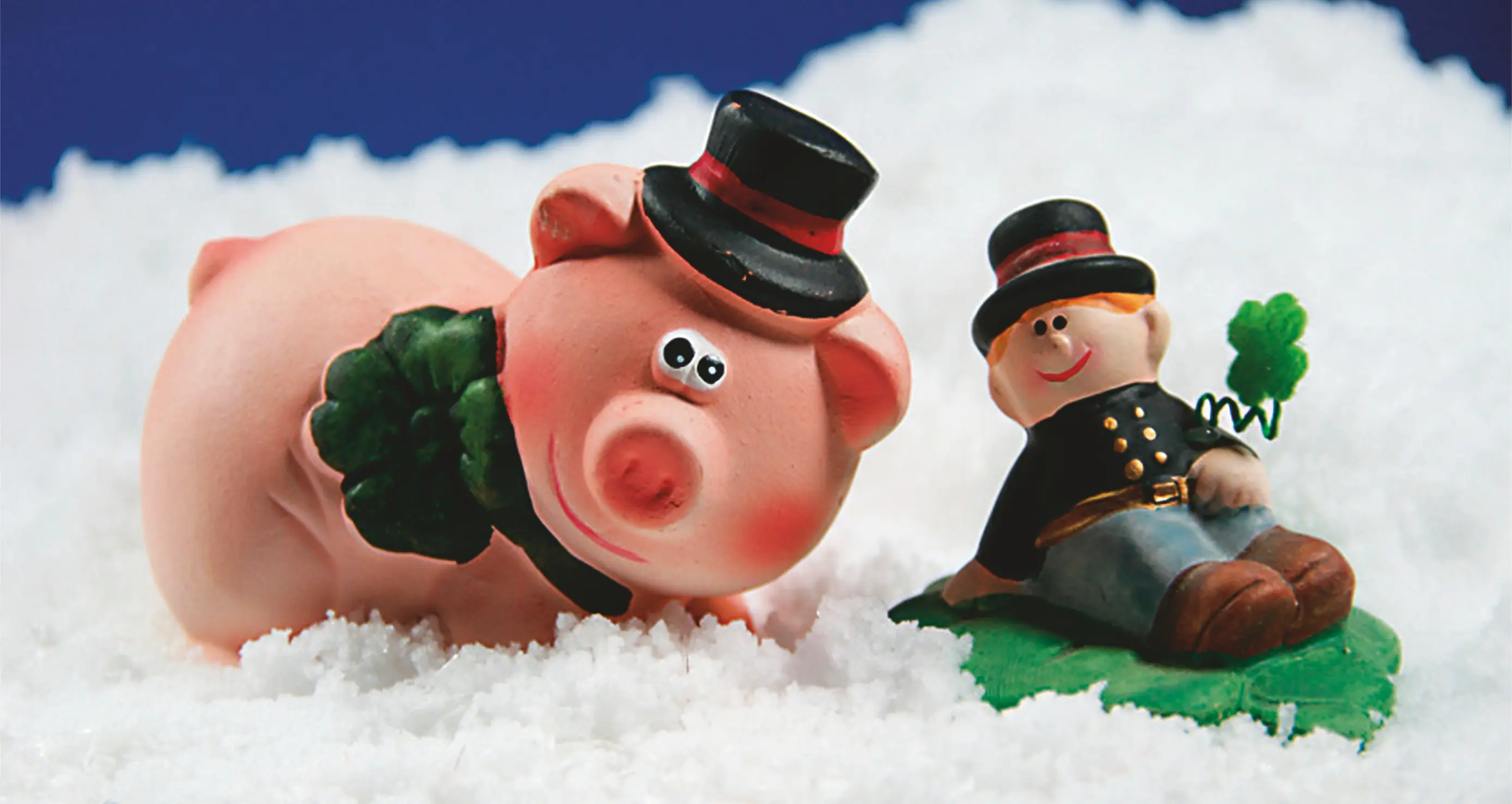 Schweinsche und Schornsteinfeger im Schnee