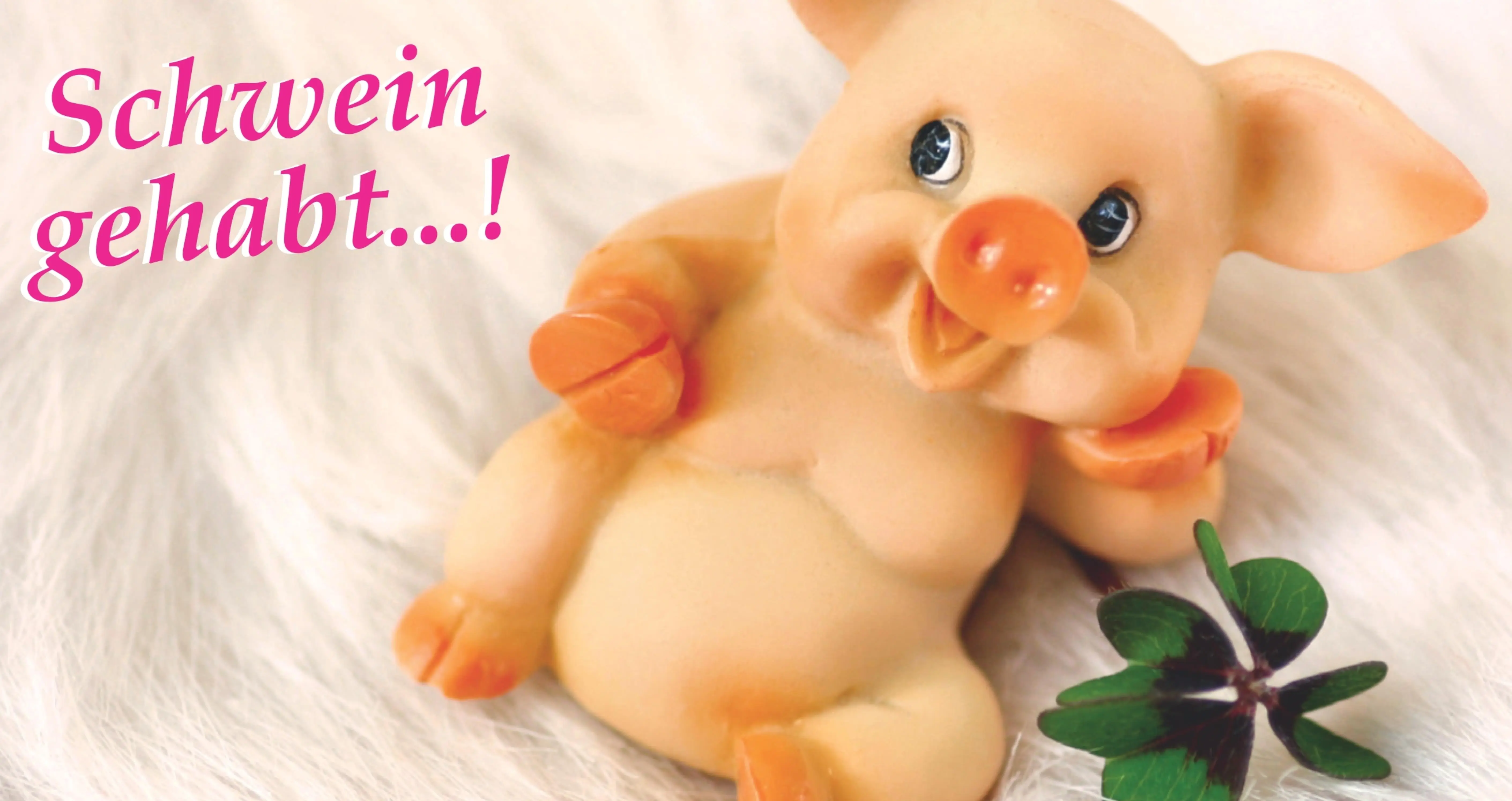Glücksschweinchen ganz cool auf Fell