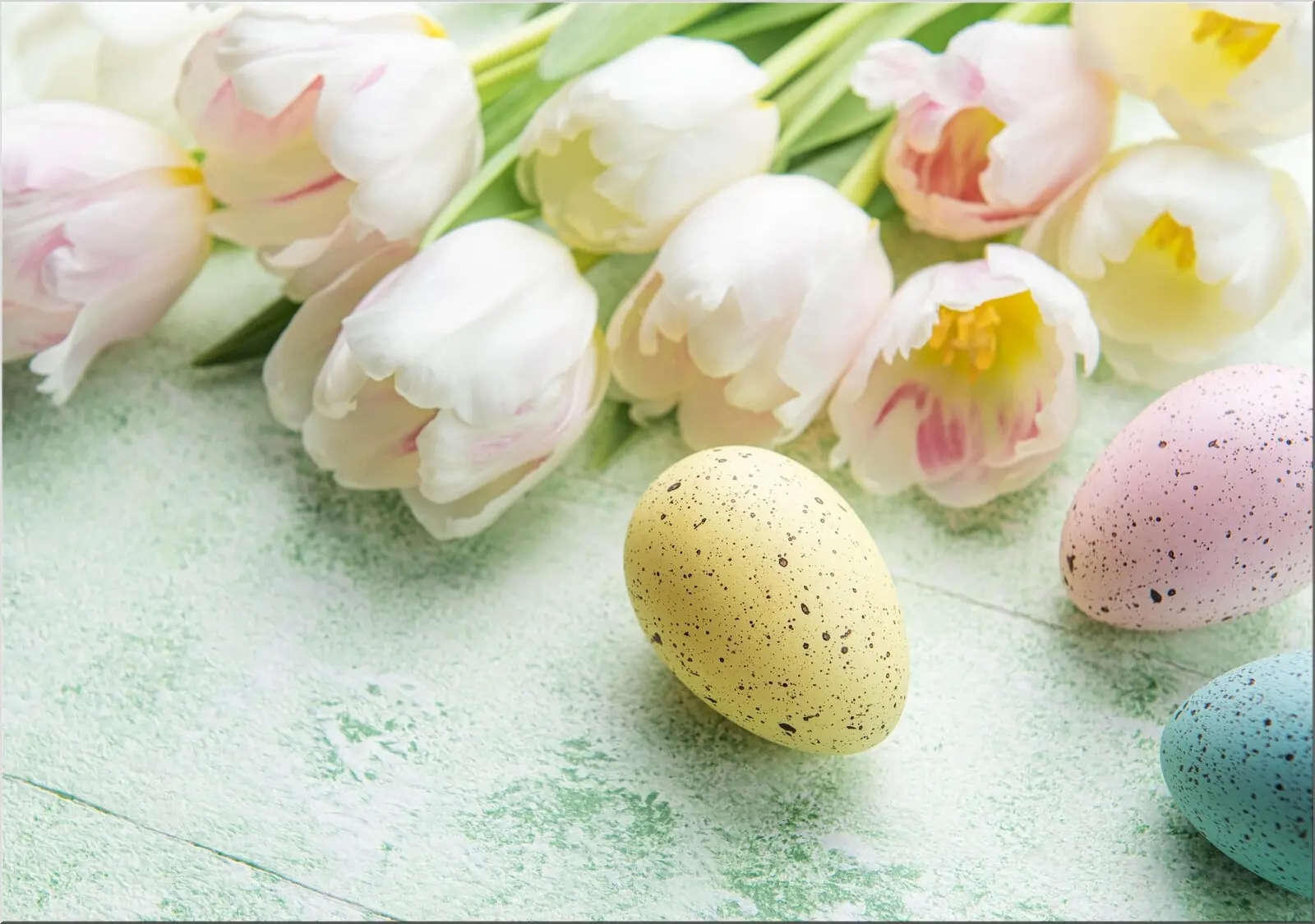 Osterpostkarte mit edlem Motiv weiße Tulpen und Ostereier