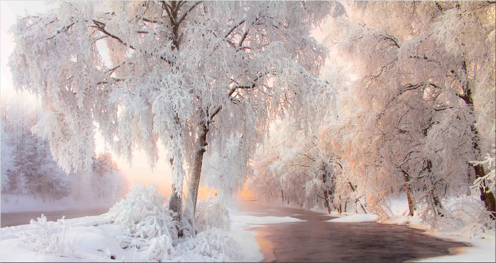 Winterliche Bäume