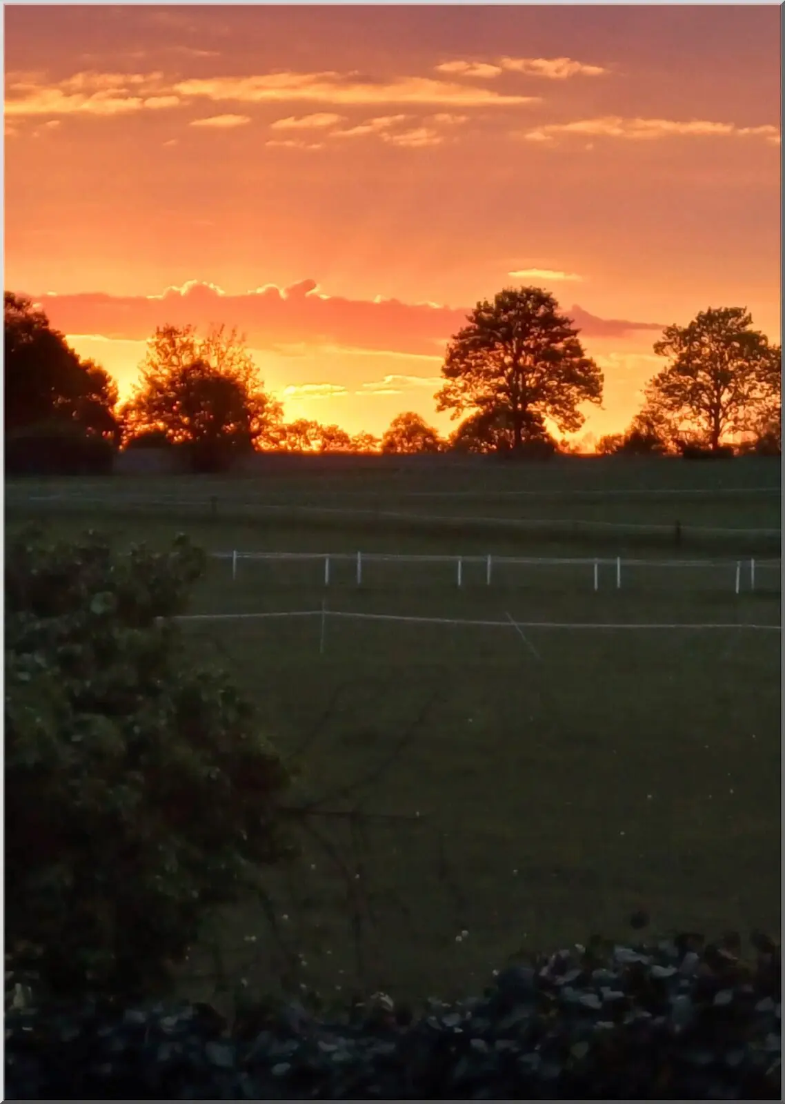 Wunderschöne Landschaftspostkarte Weide im Sonnenuntergang