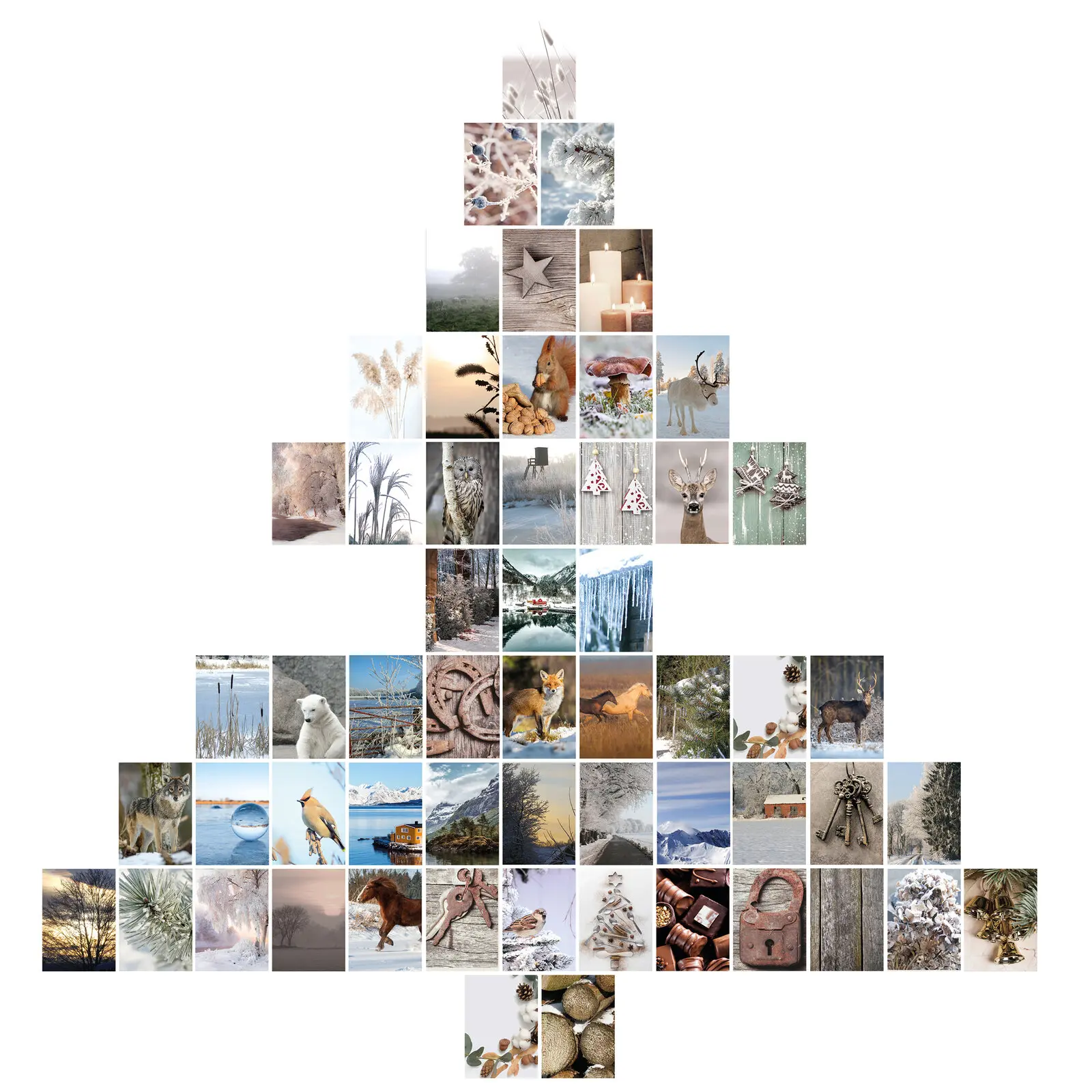 Wandcollage Set mit 56 Karten. Motiv Natur. Ästhetisch modern.