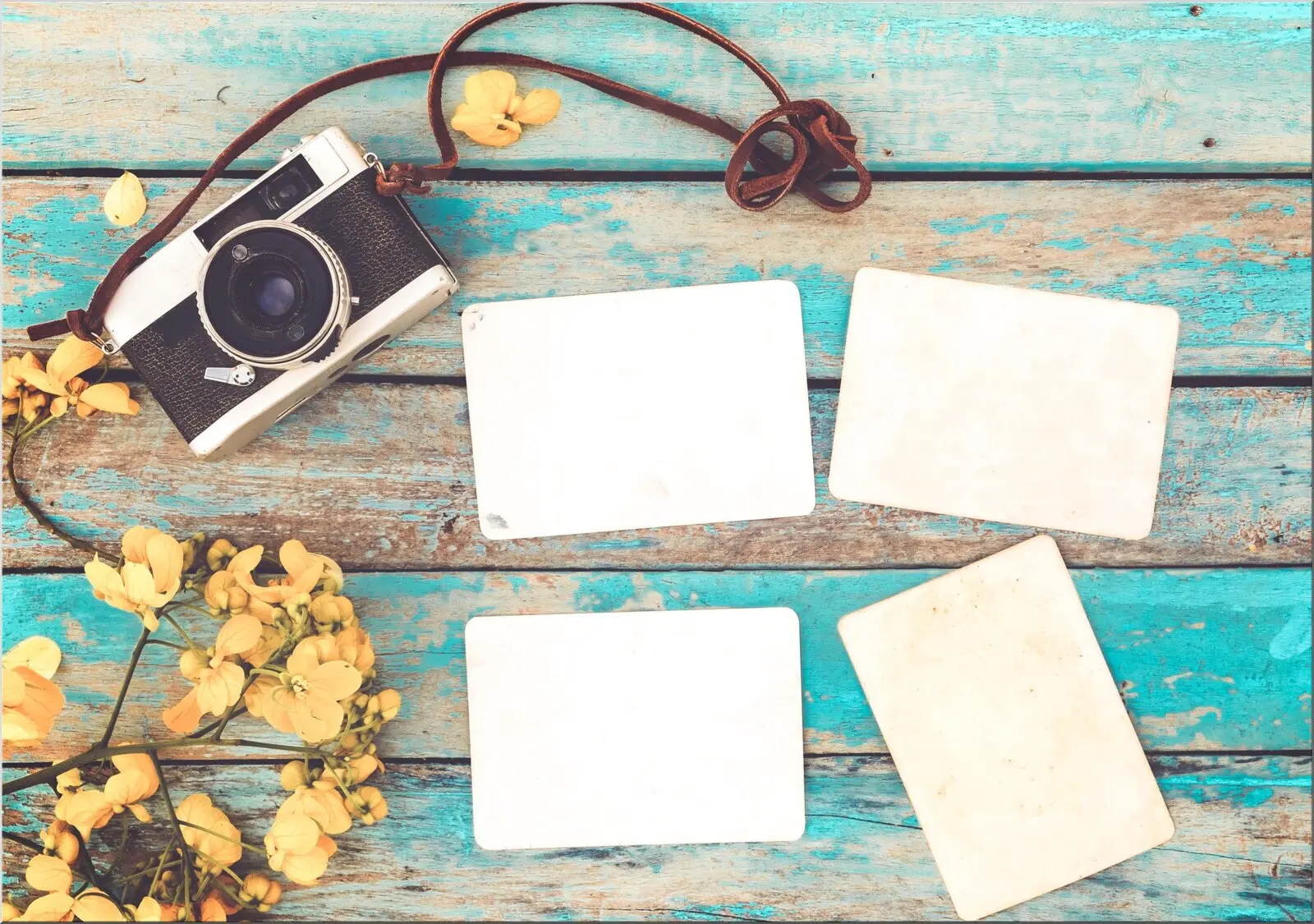 Din a6 Postkarte Motiv Fotoaparatt und gelbe Blume