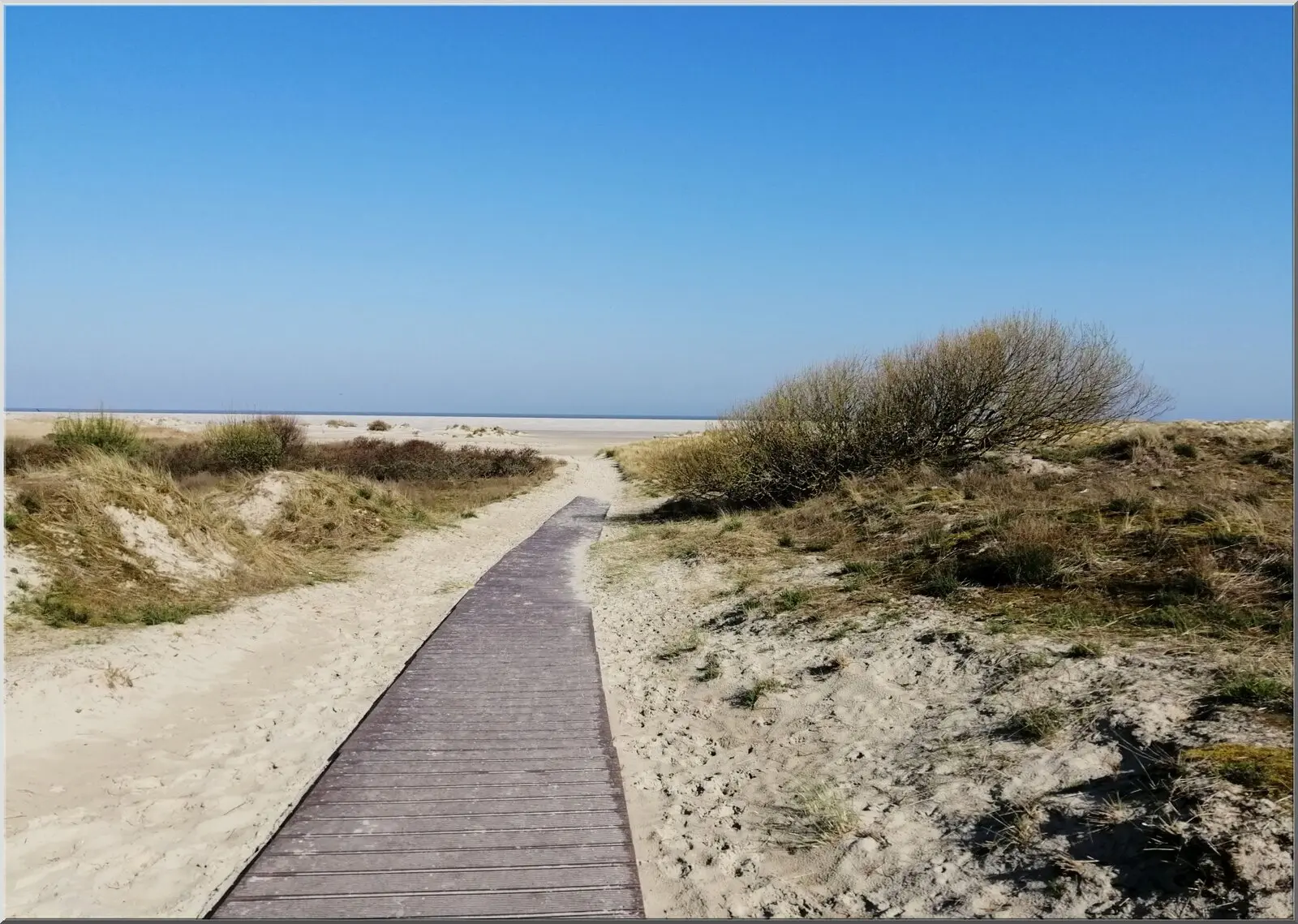 Ansichtskarte von Borkum mit Weg durch Dünenlandschaft