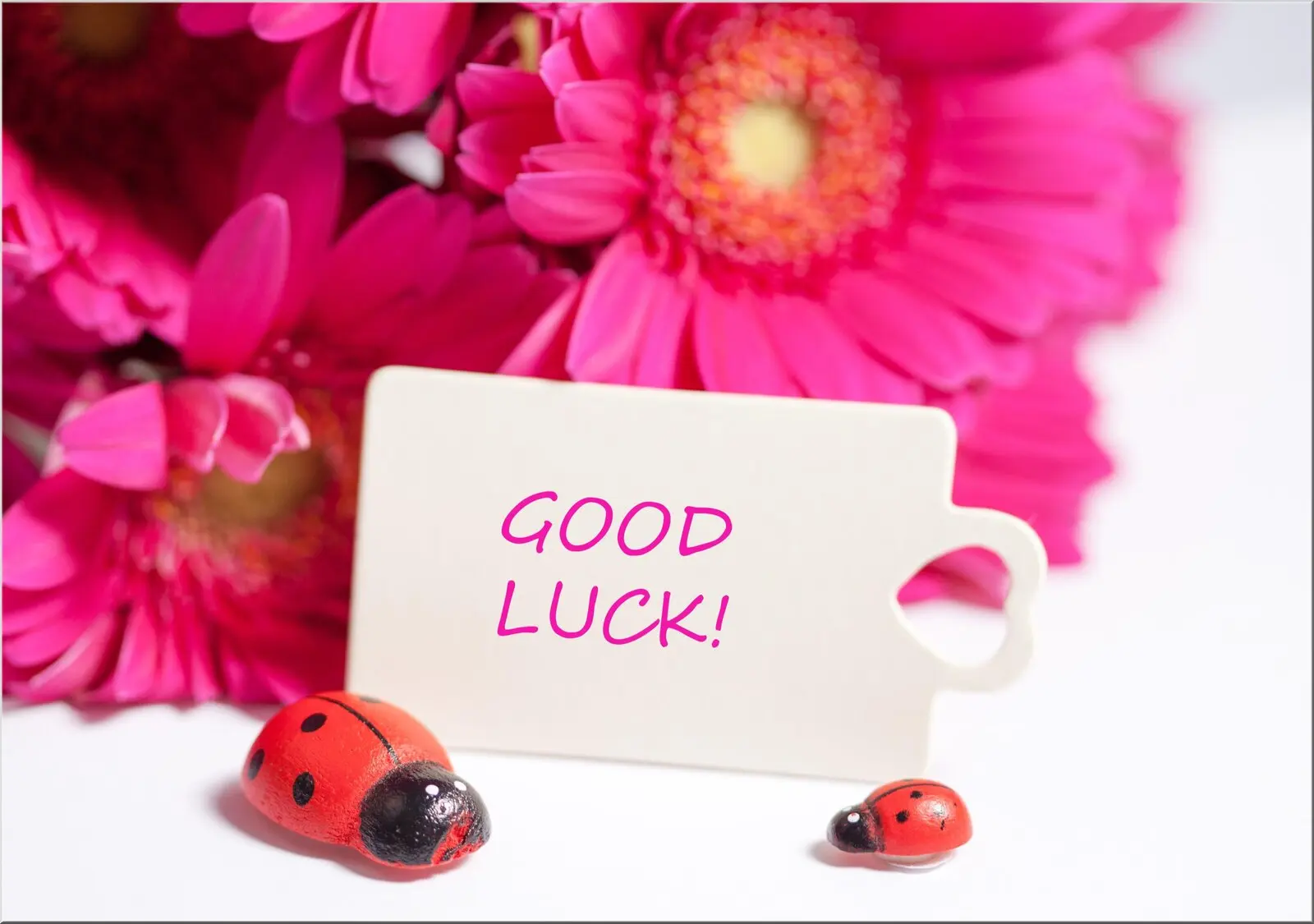 Postkarte mit Viel Glück auf Englisch Good Luck pink