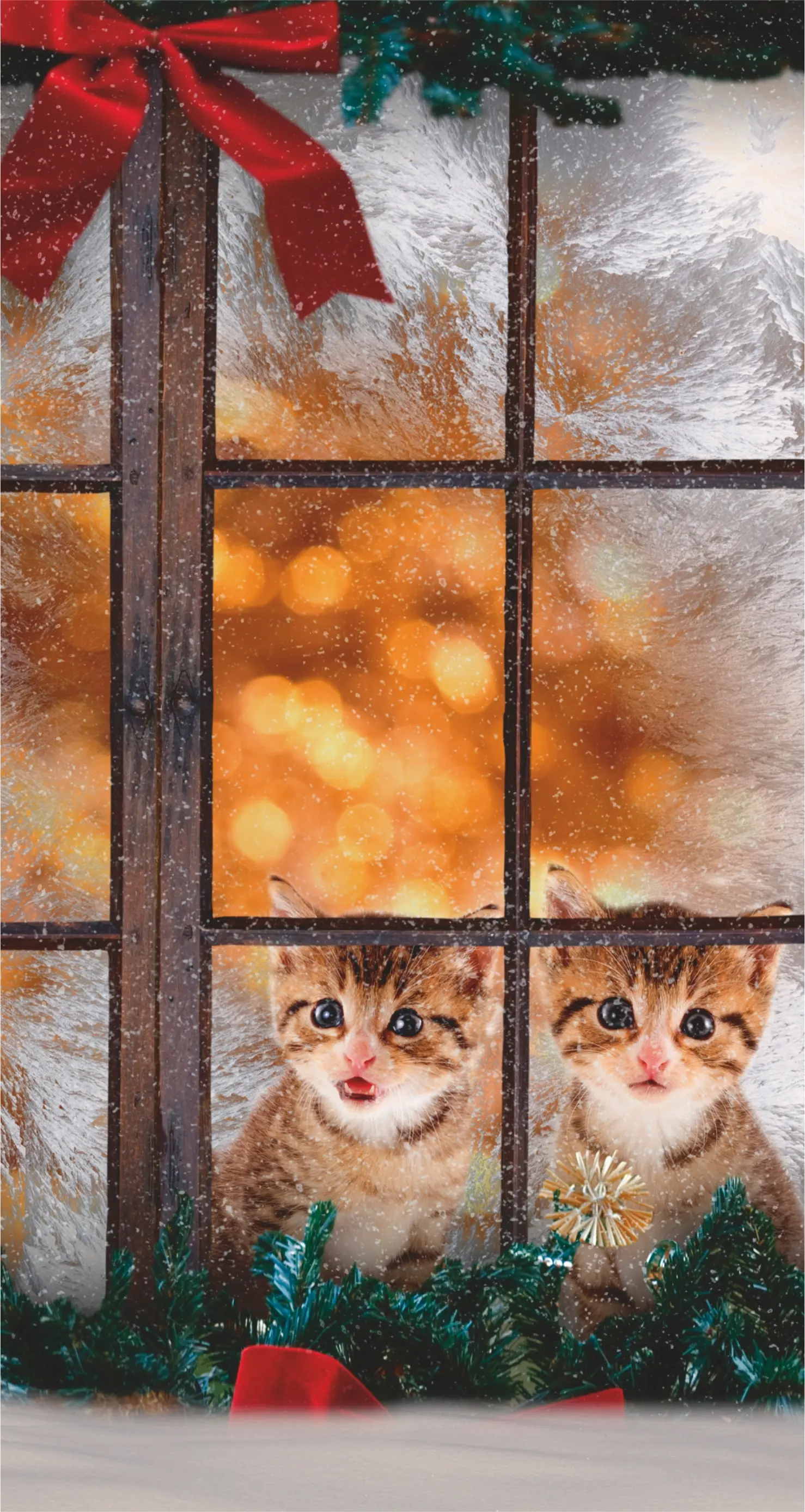 Kätzchen schauen durchs weihnachtlich geschmückte Fenster