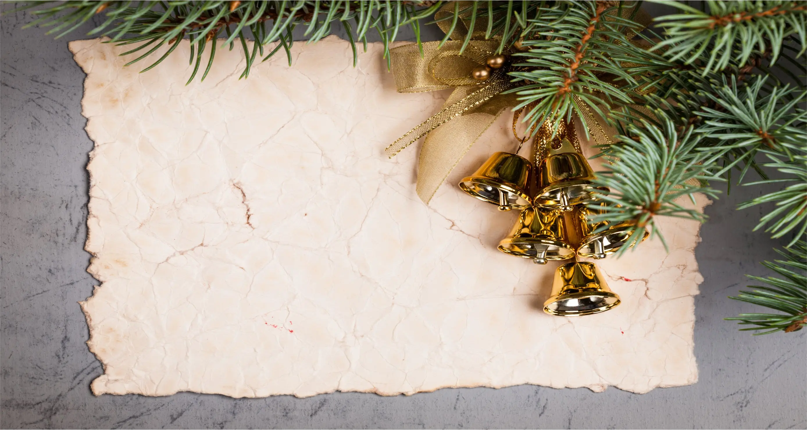 Tannenzweig mit Blatt Papier