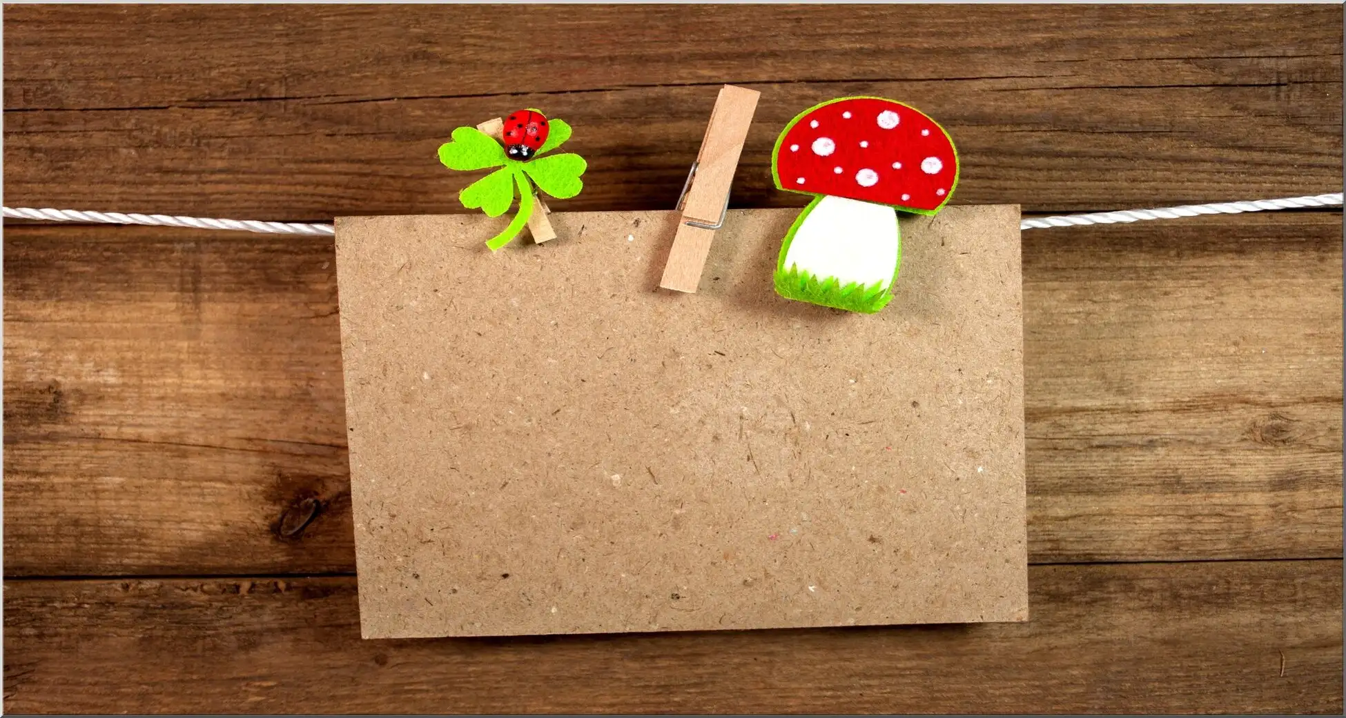 Postkarte Maxi Marienkäfer Kleeblatt Fliegenpilz